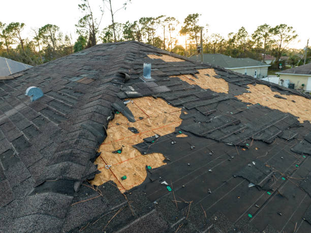 Best Skylight Installation and Repair  in Royal City, WA